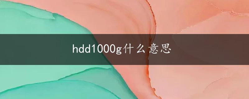 hdd1000g什么意思