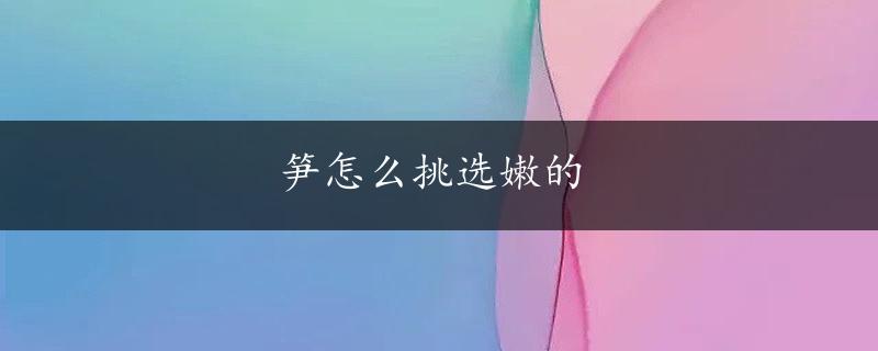 笋怎么挑选嫩的