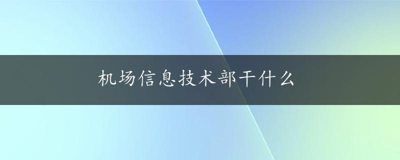 机场信息技术部干什么