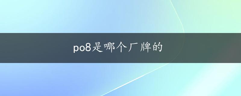 po8是哪个厂牌的