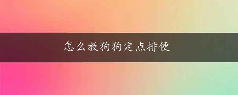 怎么教狗狗定点排便