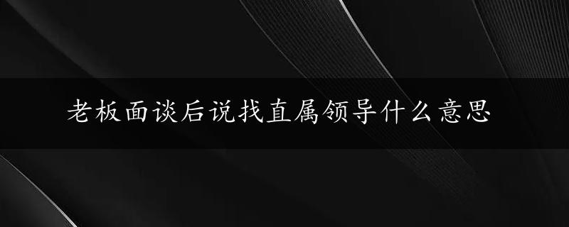 老板面谈后说找直属领导什么意思