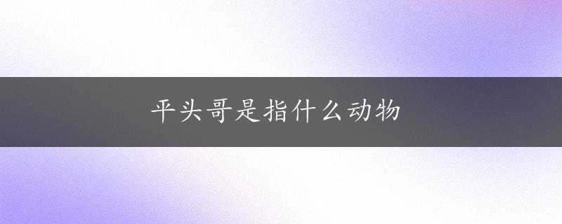 平头哥是指什么动物