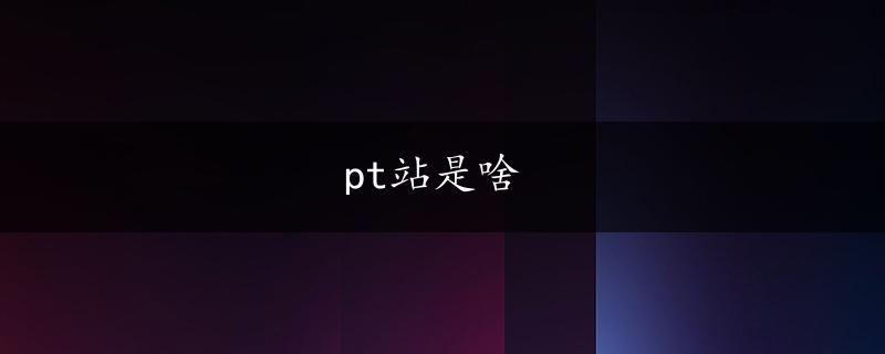 pt站是啥