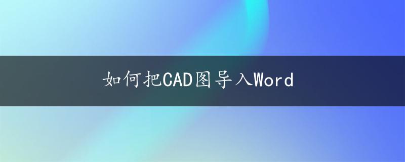 如何把CAD图导入Word