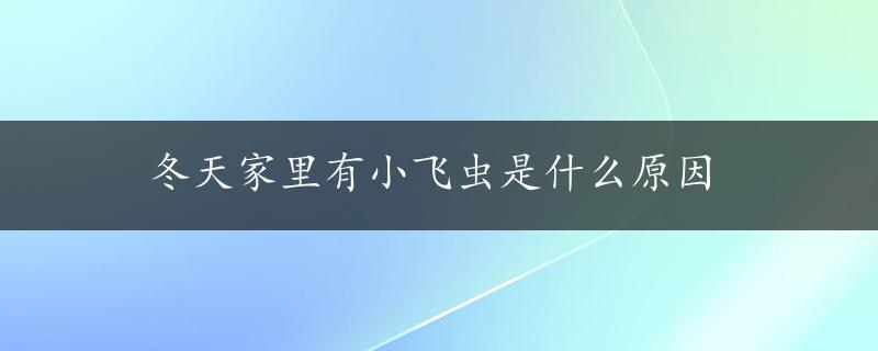 冬天家里有小飞虫是什么原因