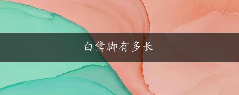 白鹭脚有多长