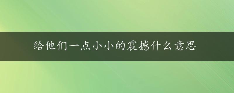 给他们一点小小的震撼什么意思