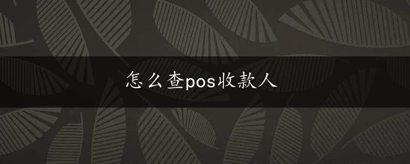 怎么查pos收款人