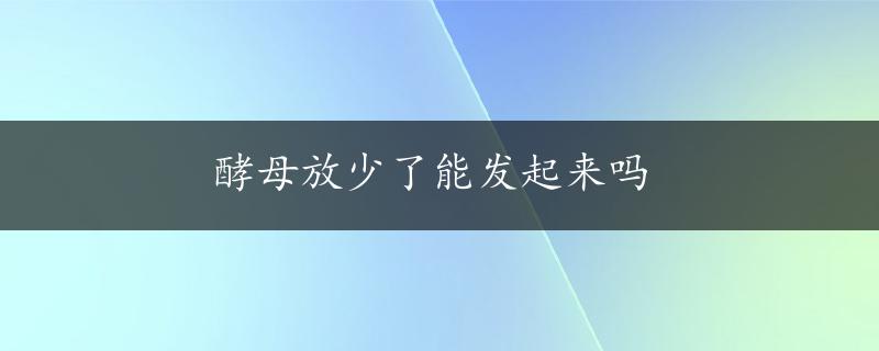 酵母放少了能发起来吗