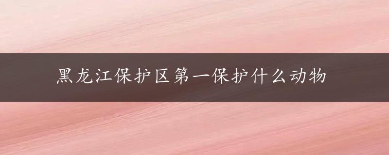 黑龙江保护区第一保护什么动物