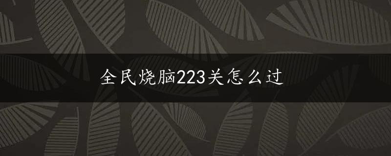 全民烧脑223关怎么过