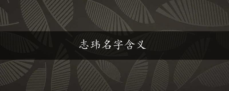 志玮名字含义