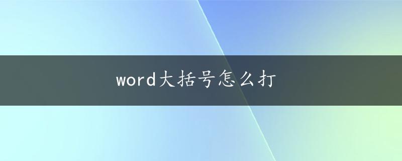 word大括号怎么打