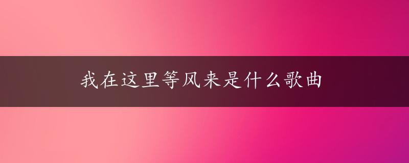 我在这里等风来是什么歌曲