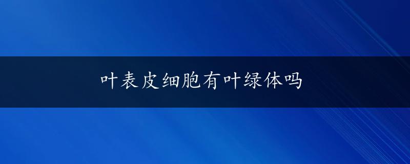 叶表皮细胞有叶绿体吗