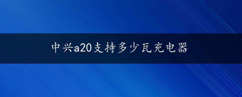 中兴a20支持多少瓦充电器