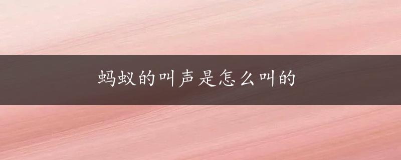 蚂蚁的叫声是怎么叫的