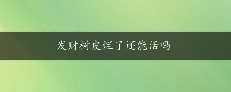 发财树皮烂了还能活吗