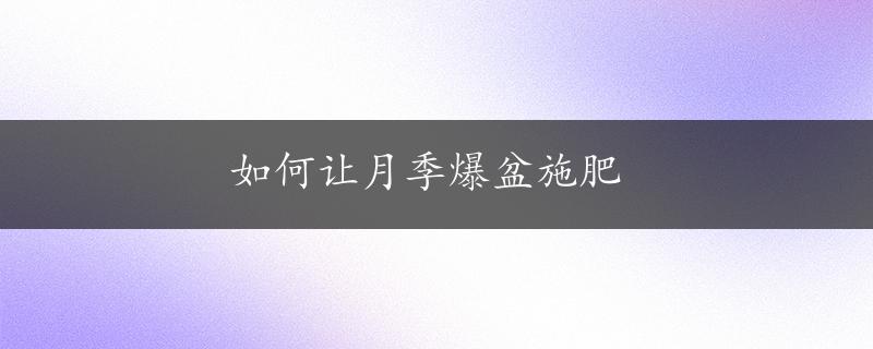 如何让月季爆盆施肥