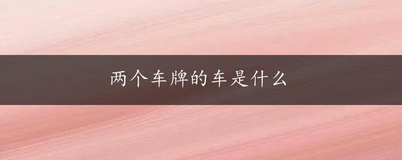 两个车牌的车是什么