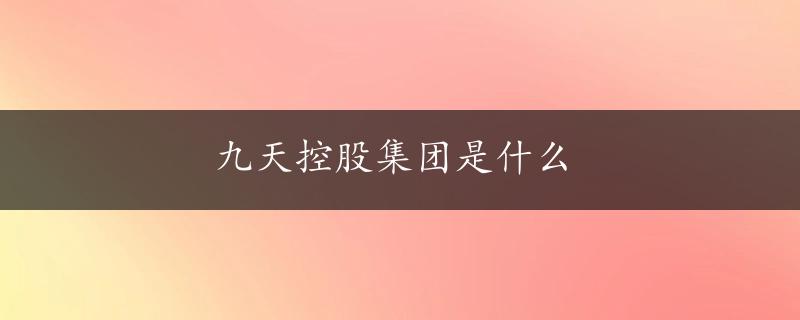 九天控股集团是什么