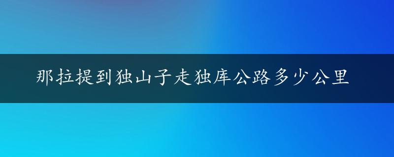 那拉提到独山子走独库公路多少公里