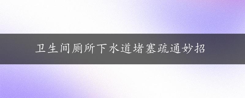 卫生间厕所下水道堵塞疏通妙招