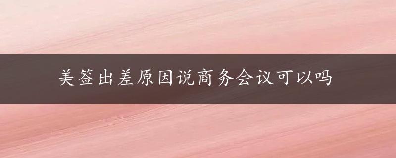 美签出差原因说商务会议可以吗