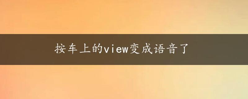 按车上的view变成语音了