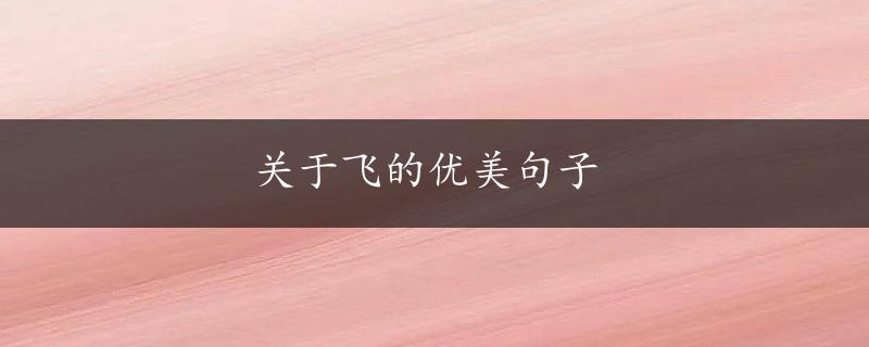 关于飞的优美句子