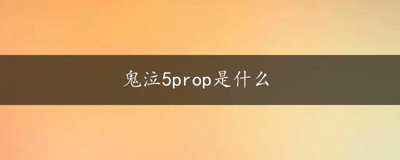 鬼泣5prop是什么