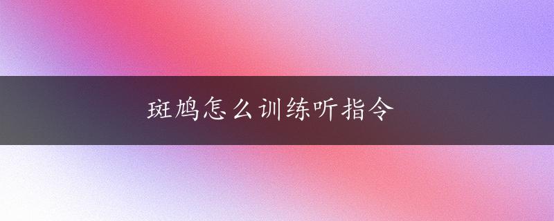 斑鸠怎么训练听指令