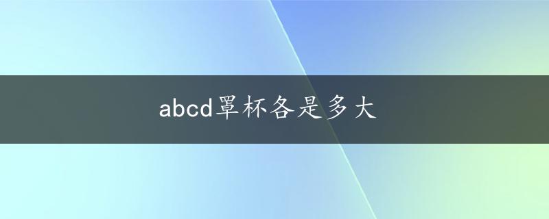 abcd罩杯各是多大