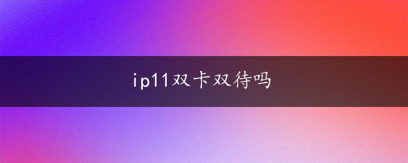 ip11双卡双待吗