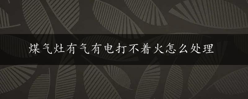 煤气灶有气有电打不着火怎么处理