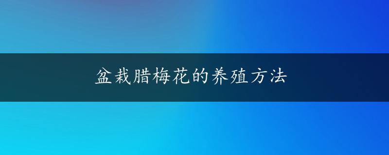 盆栽腊梅花的养殖方法