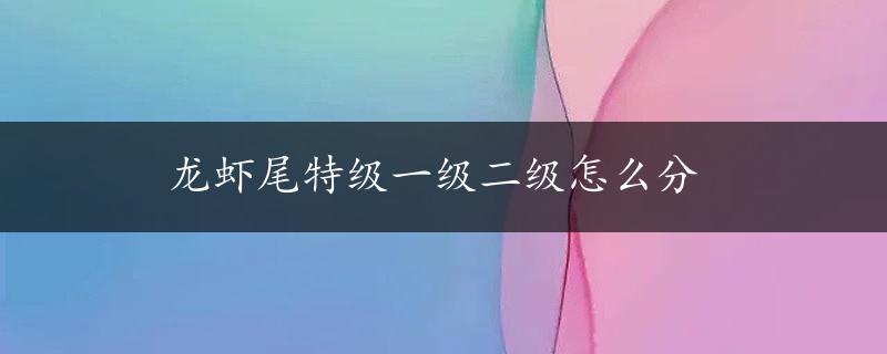 龙虾尾特级一级二级怎么分