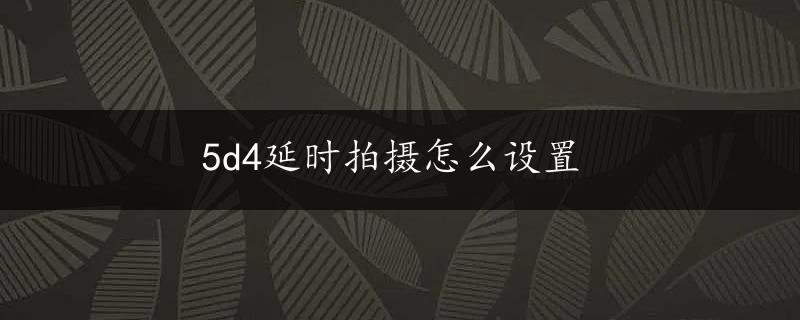 5d4延时拍摄怎么设置