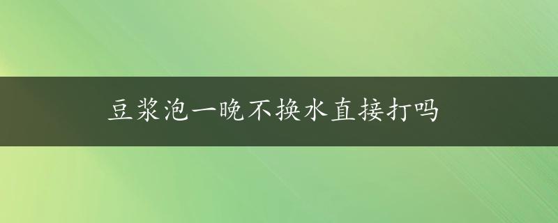 豆浆泡一晚不换水直接打吗