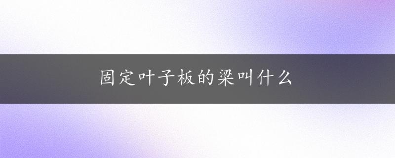 固定叶子板的梁叫什么