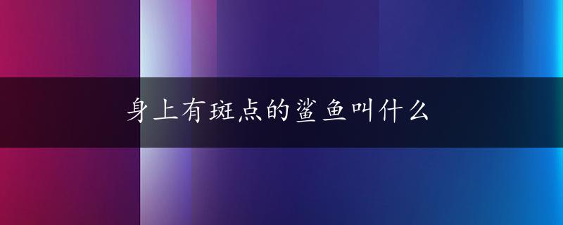 身上有斑点的鲨鱼叫什么