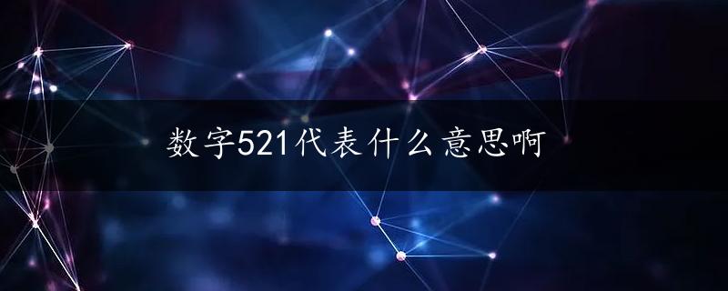 数字521代表什么意思啊