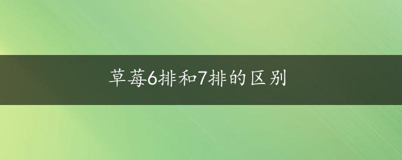 草莓6排和7排的区别