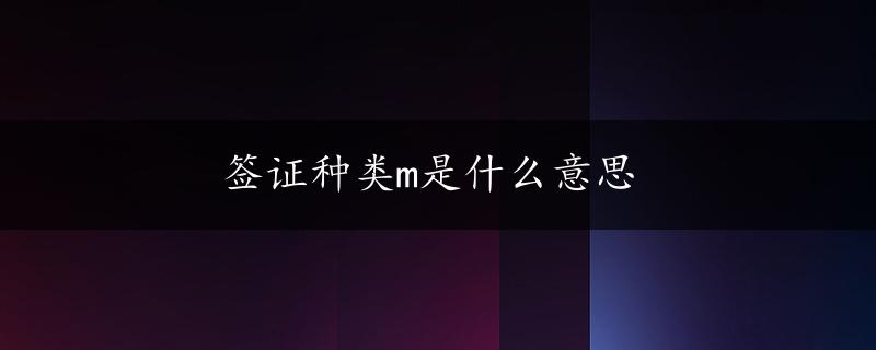 签证种类m是什么意思