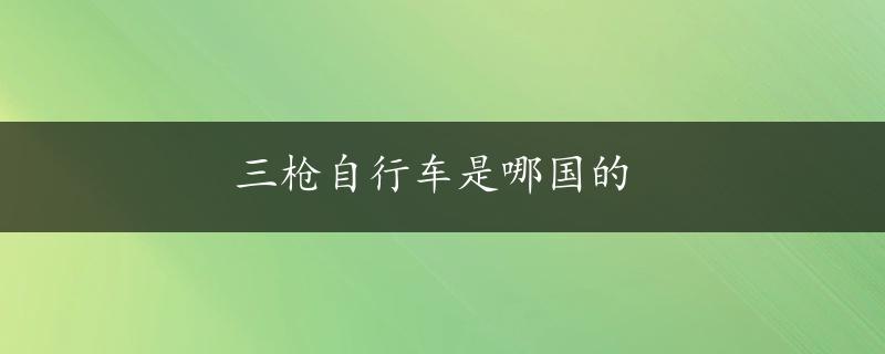 三枪自行车是哪国的