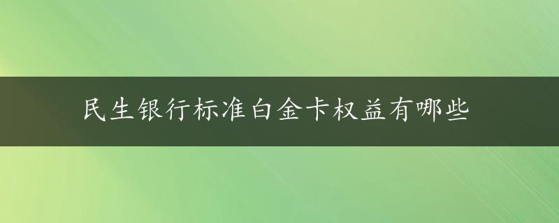 民生银行标准白金卡权益有哪些