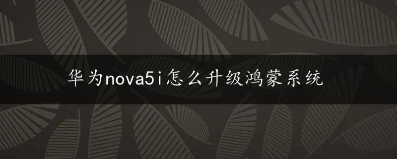 华为nova5i怎么升级鸿蒙系统