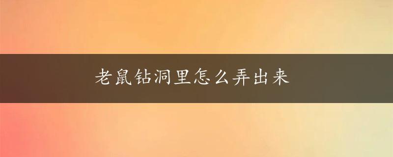 老鼠钻洞里怎么弄出来