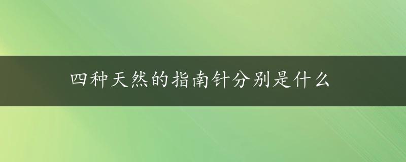 四种天然的指南针分别是什么